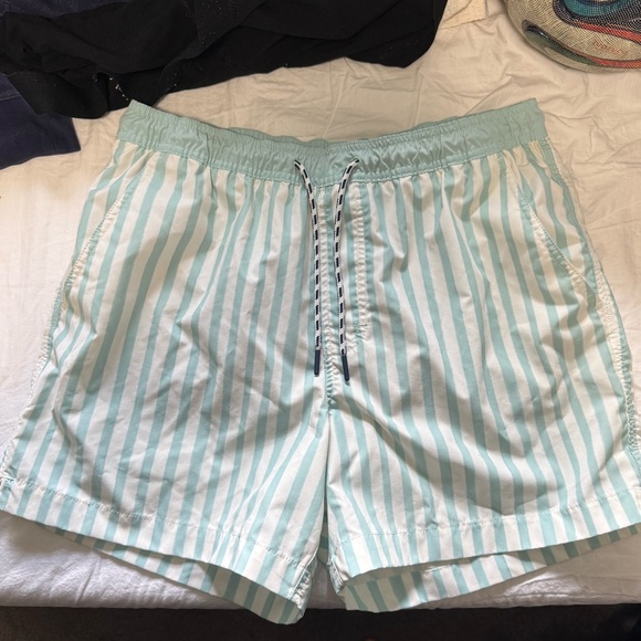 American Eagle Outfitters Blue and White Swim Trunks - Picture 1 of 3